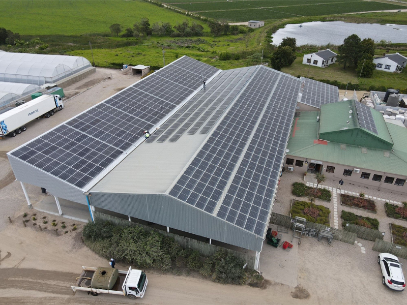 China added 11GW of new PV capacity in July, down 48% year-on-year